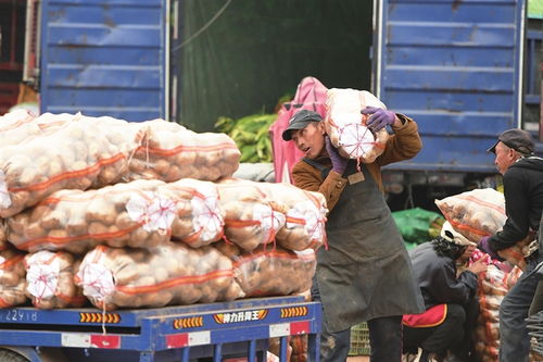 寒潮將至，備貨先行——太原河西市場全力保障市民“菜籃子”供應(yīng)